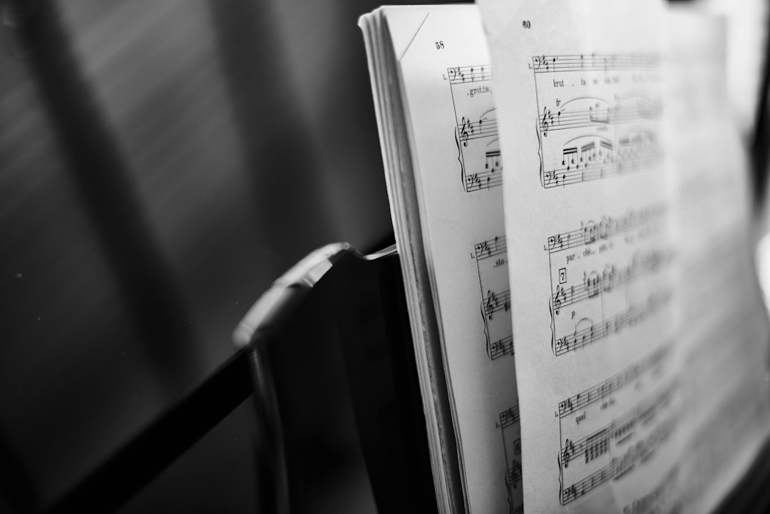 Experience the Joy of Music Learning at Melody Rises