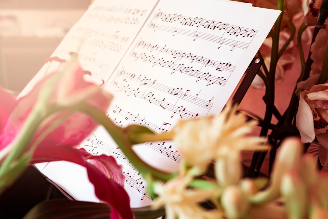 Transform Your Skills with Personalized Music Instruction